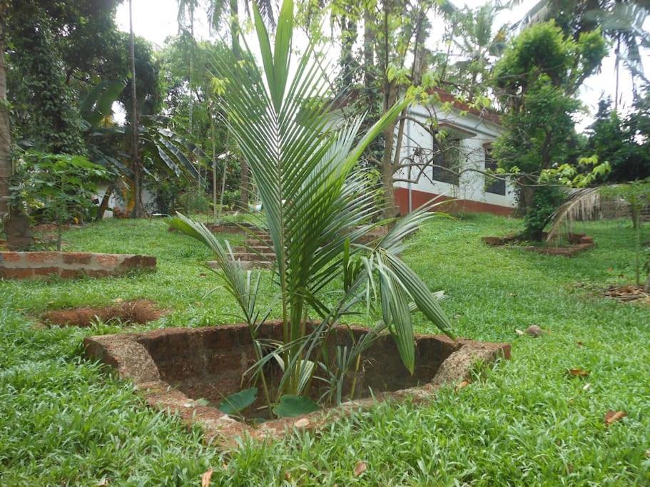 Runnin Airport - Homestay Gurpur Exterior photo