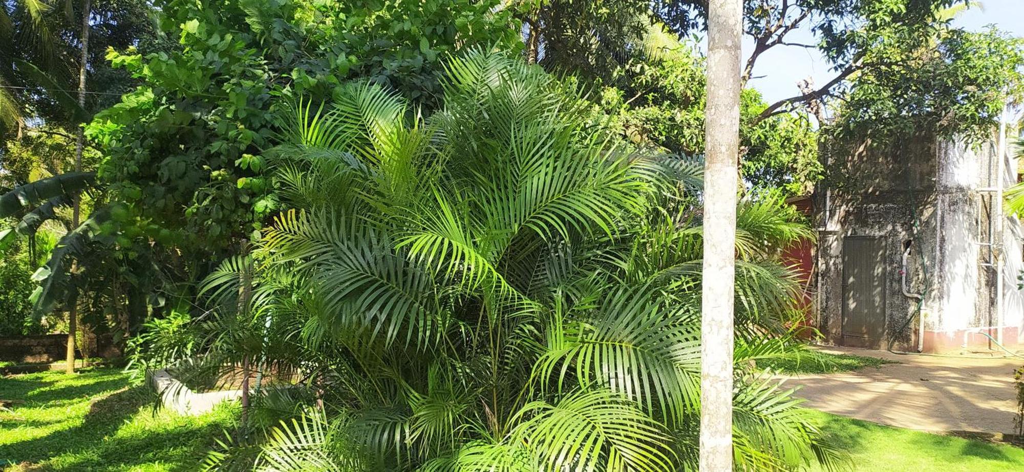 Runnin Airport - Homestay Gurpur Exterior photo
