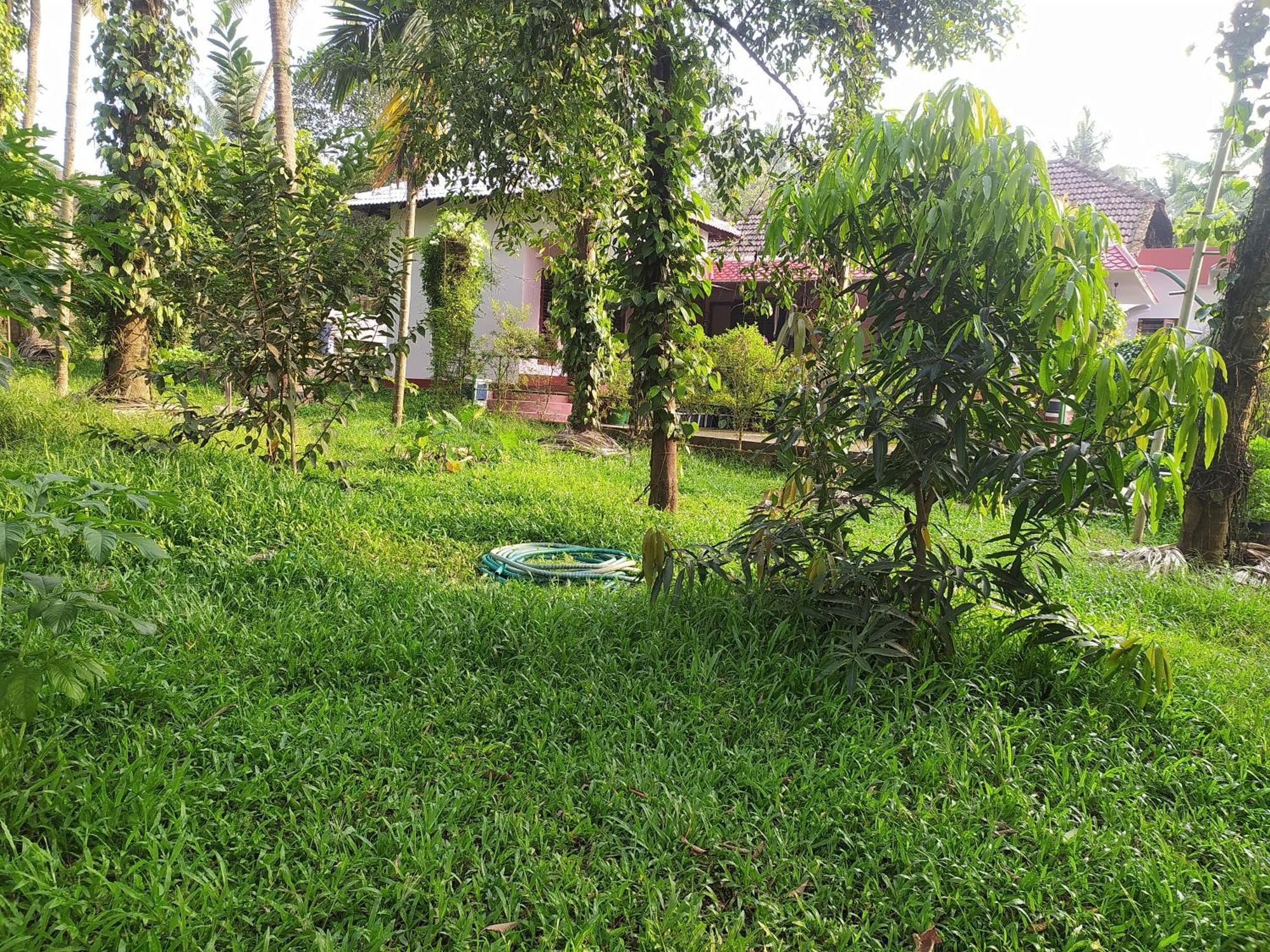 Runnin Airport - Homestay Gurpur Exterior photo